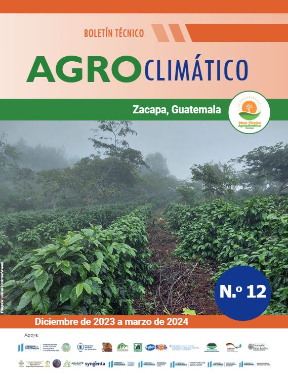 Clima 7